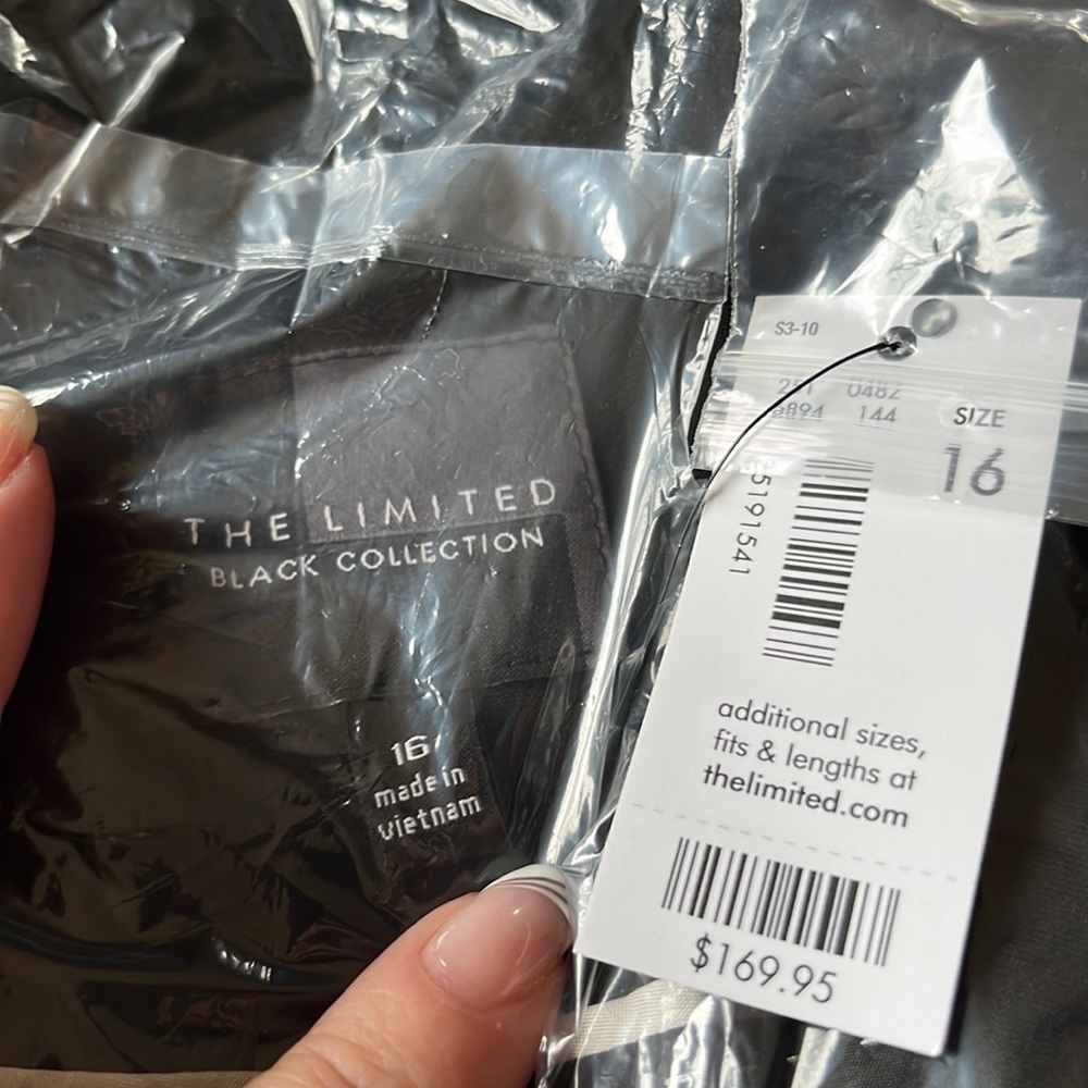 Black blazer from the Limited